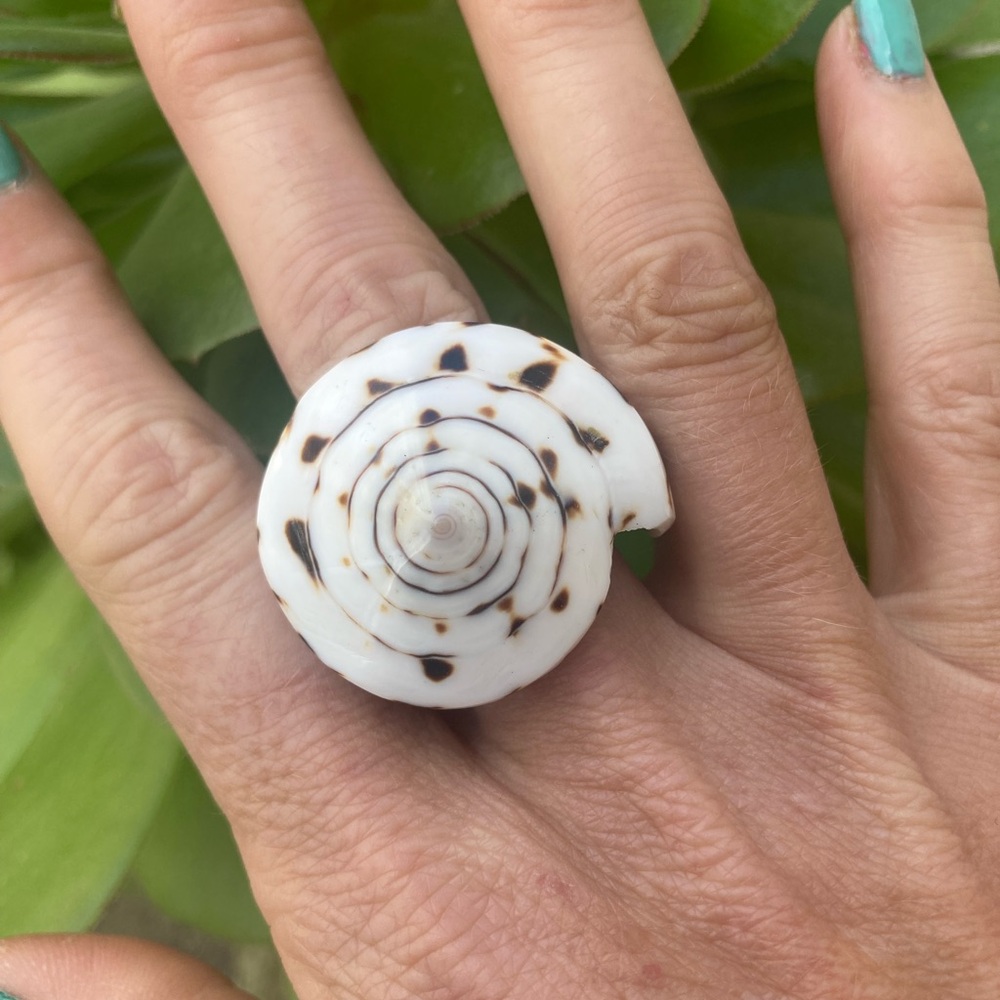Gorgeous goddess off white seashell ring